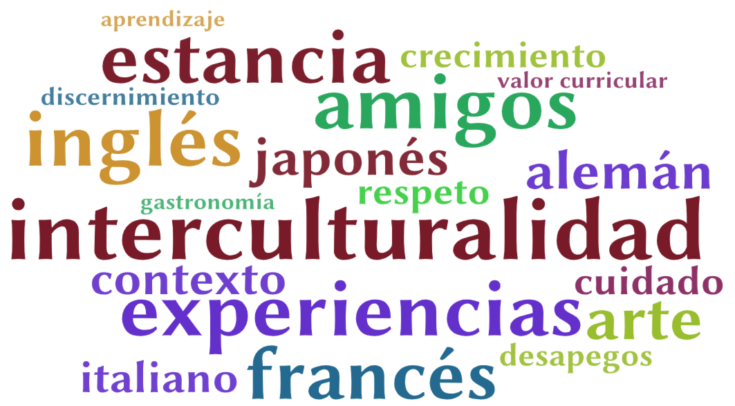 interculturalidad, idioma, experiencia